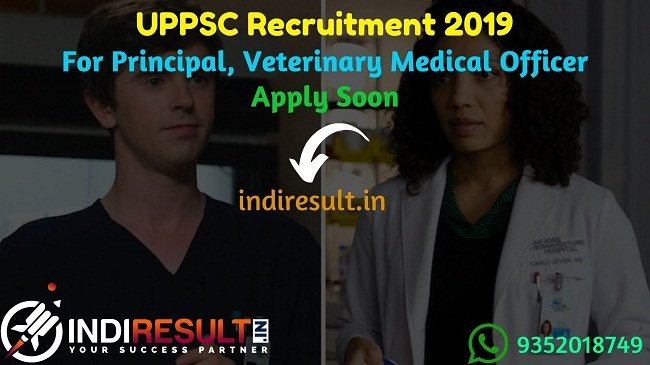 UPPSC Recruitment 2019 For Principal Veterinary Medical Officer - UPPSC Principal, Veterinary MO Recruitment Notification, Eligibility Criteria, Age Limit, Educational Qualification and Selection process. Uttar Pradesh Public Service Commission UPPSC invites Online application to fill 89 vacancy of Principal, Veterinary Medical Officer Posts.