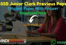 DSSSB Junior Clerk Previous Question Papers - Download DSSSB Junior Clerk Previous Year Question Papers Pdf in Hindi English, DSSSB Clerk Old Paper with Ans